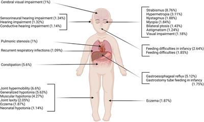 Developing a cluster-based approach for deciphering complexity in individuals with neurodevelopmental differences